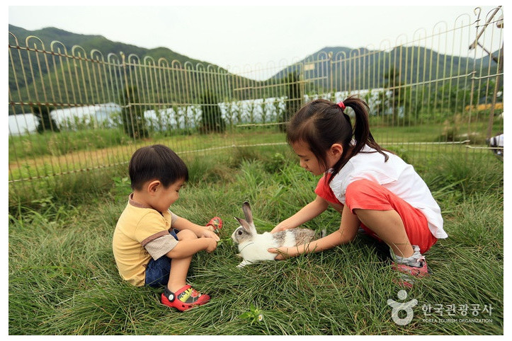 애심목장 여행 추천 - 메고지고