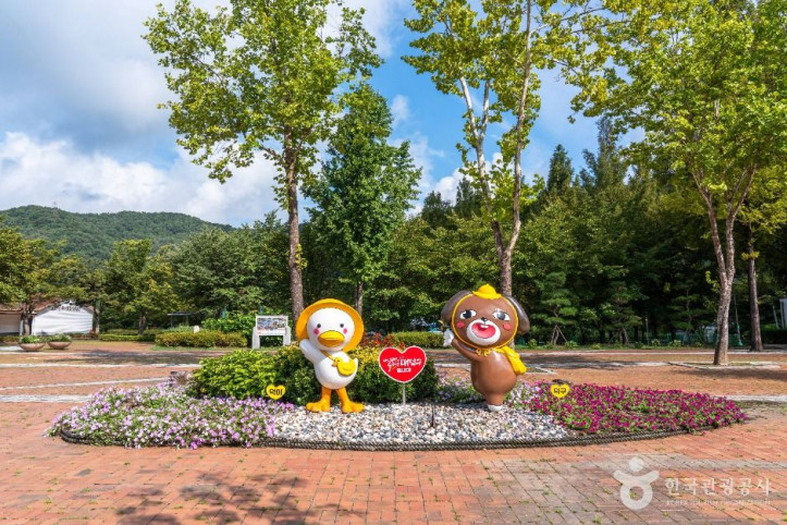 금강로하스대청공원 여행 추천 - 메고지고