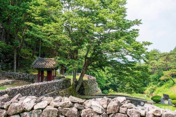 산청 전 구형왕릉 여행 추천 - 메고지고