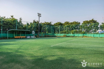 원적산공원 은행나무숲 여행 추천 - 메고지고