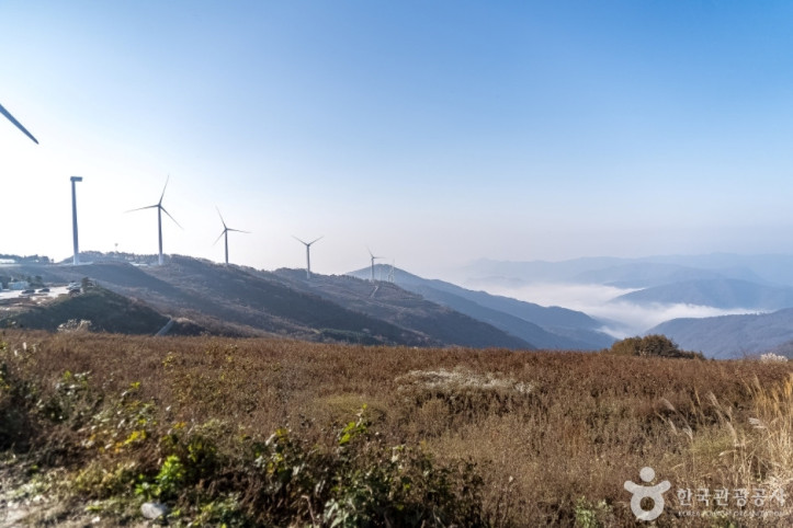 청옥산전망대 여행 추천 - 메고지고