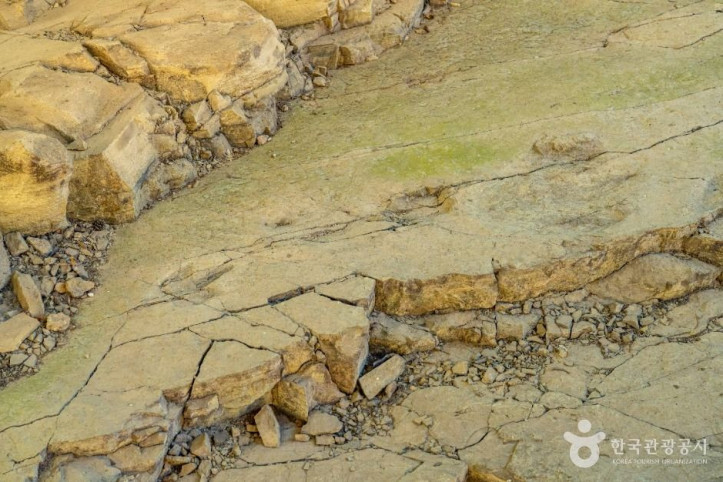 서유리 공룡화석지 (무등산권 국가지질공원) 여행 추천 - 메고지고