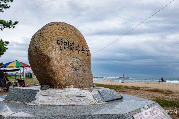 영리해수욕장 여행 추천 - 메고지고