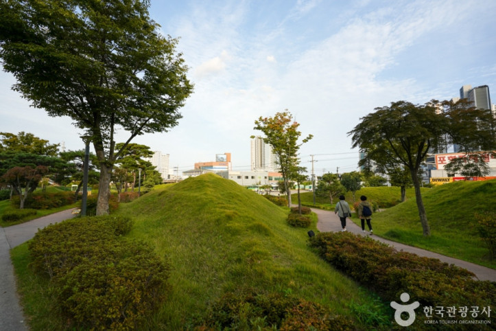 철길숲 & 불의정원 여행 추천 - 메고지고