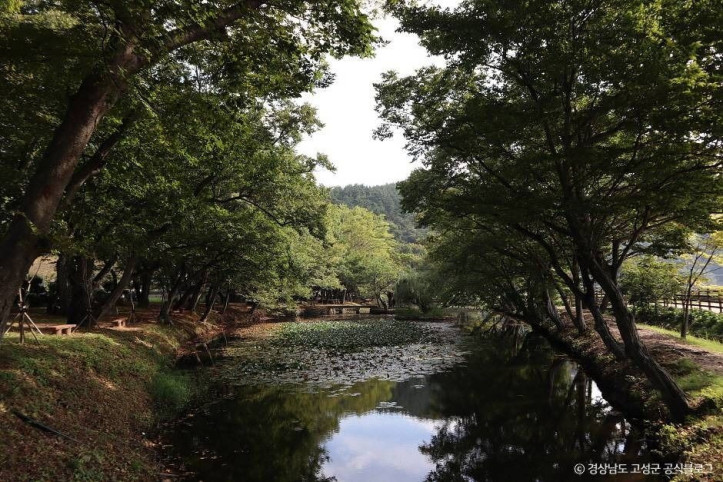 고성 장산숲 여행 추천 - 메고지고