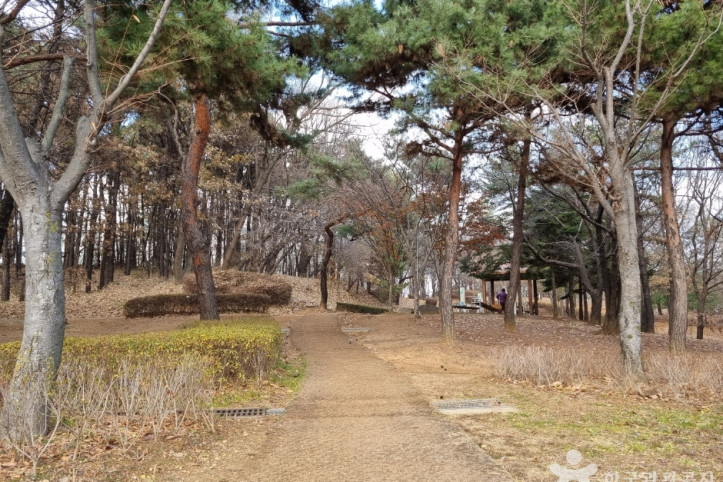 수지체육공원 여행 추천 - 메고지고
