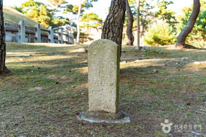 경주 헌덕왕릉 여행 추천 - 메고지고