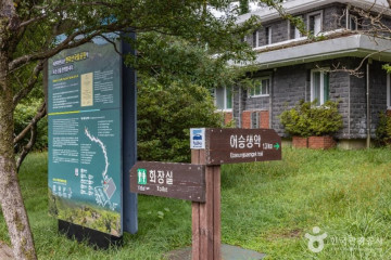 오백나한 여행 추천 - 메고지고