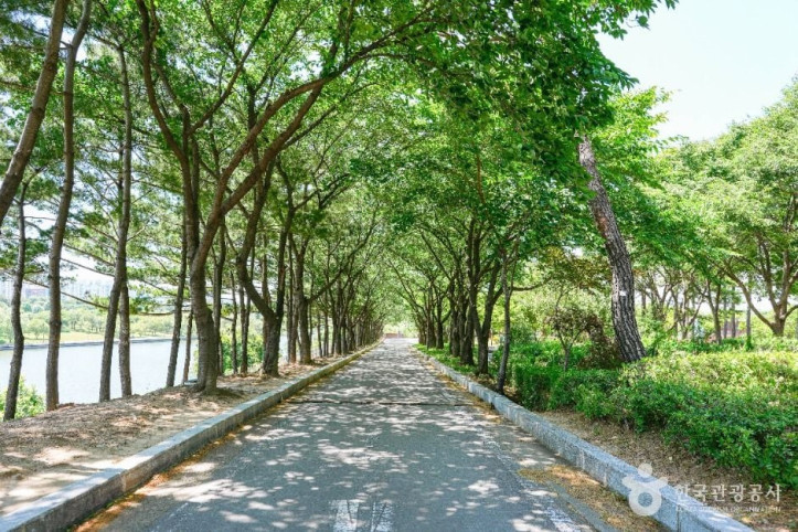 선유도공원 여행 추천 - 메고지고