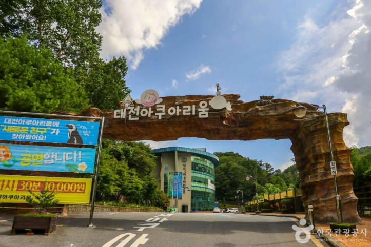 대전아쿠아리움 여행 추천 - 메고지고