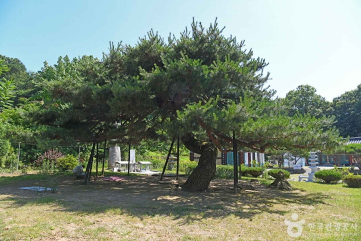 송불암(논산) 여행 추천 - 메고지고