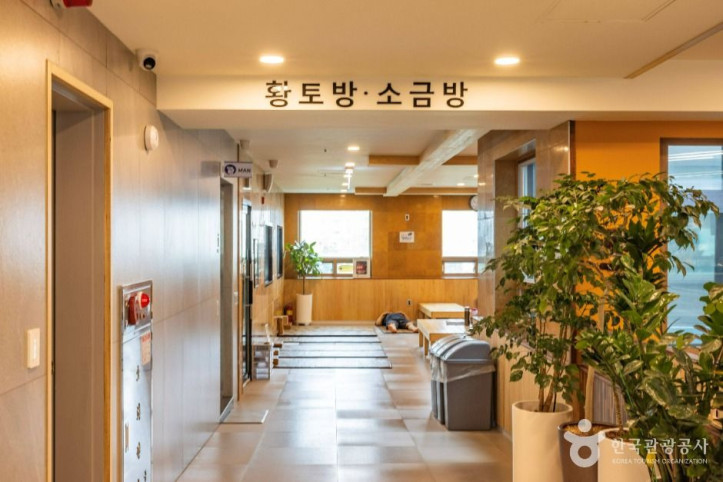 키위스파랜드 여행 추천 - 메고지고