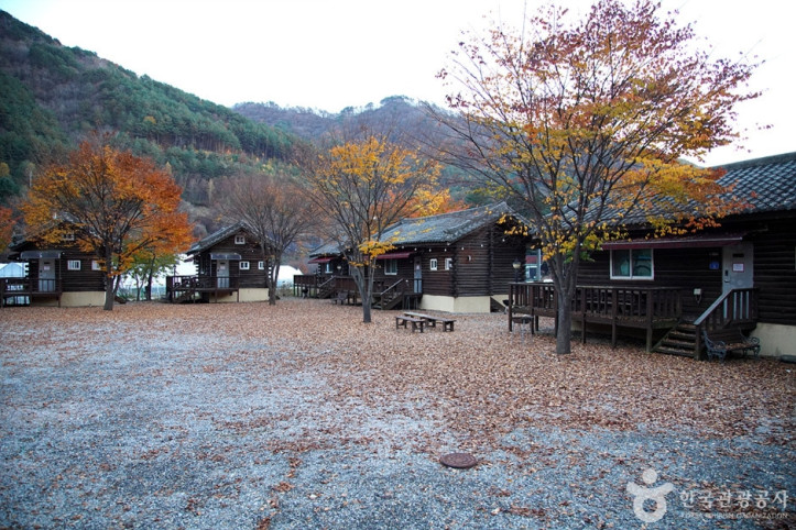 홍천 살둔마을 여행 추천 - 메고지고