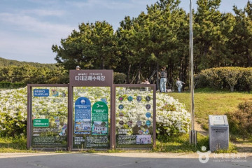 다대포생태탐방로 여행 추천 - 메고지고