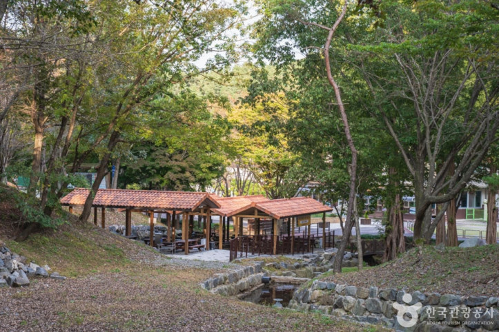 칠갑산자연휴양림 여행 추천 - 메고지고