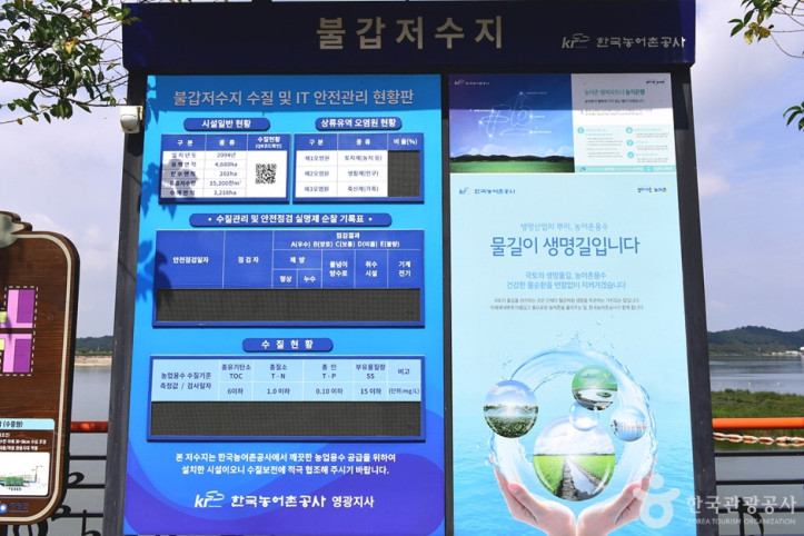 불갑저수지 수변공원 여행 추천 - 메고지고