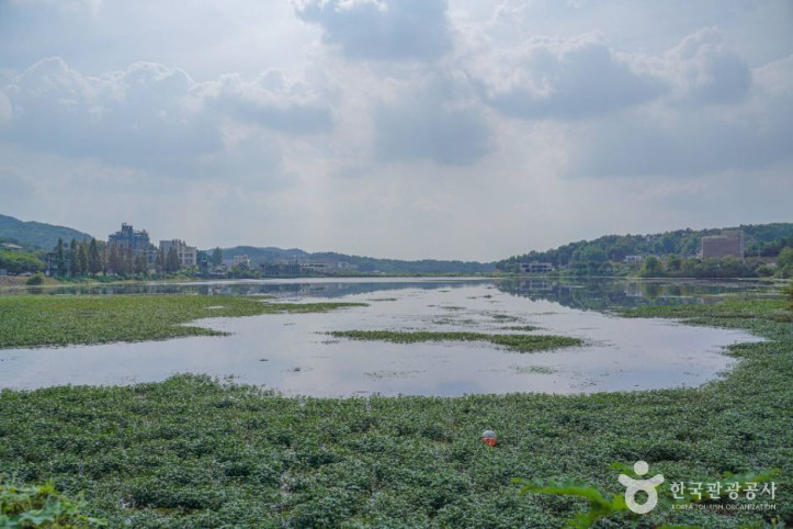 칠곡저수지 여행 추천 - 메고지고