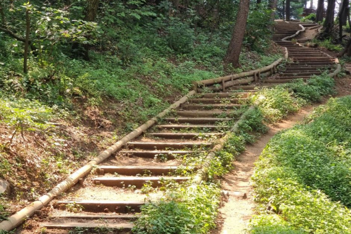 [서울둘레길 10코스] 우면산코스 여행 추천 - 메고지고