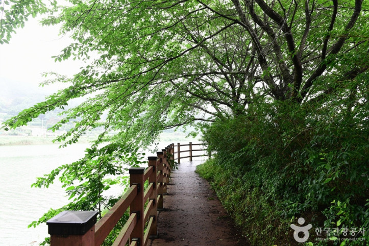 승월마을 여행 추천 - 메고지고