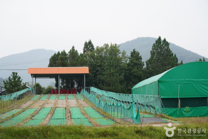 임실치즈학교 경주체험장 여행 추천 - 메고지고