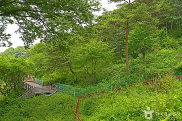 군자산 여행 추천 - 메고지고