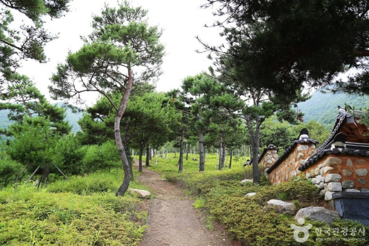 동의보감촌한방자연휴양림 여행 추천 - 메고지고