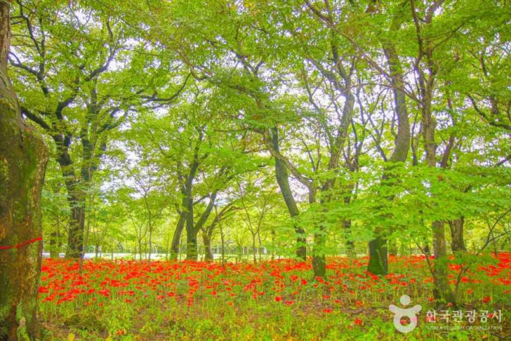 상림공원 여행 추천 - 메고지고