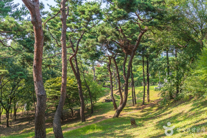 청주 발산공원 여행 추천 - 메고지고