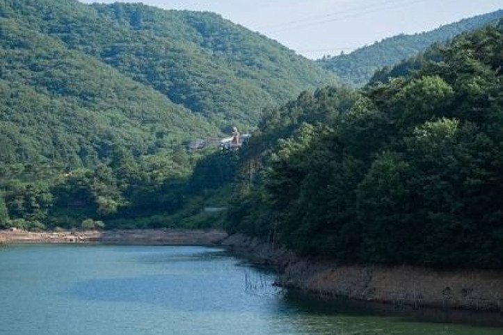 제암산자연휴양림 여행 추천 - 메고지고