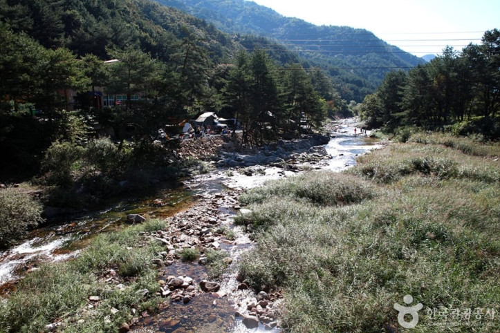 법흥계곡 여행 추천 - 메고지고