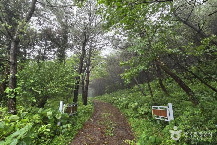 거린사슴 여행 추천 - 메고지고