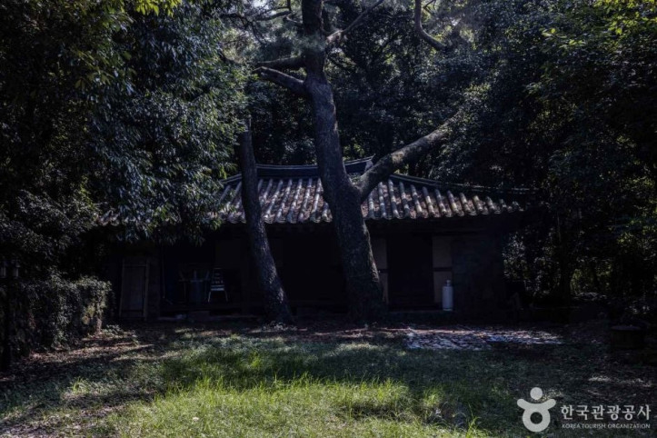 금산공원(납읍난대림지대) 여행 추천 - 메고지고