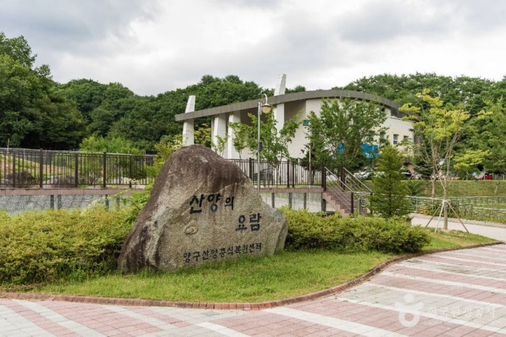 양구 산양·사향노루센터 여행 추천 - 메고지고