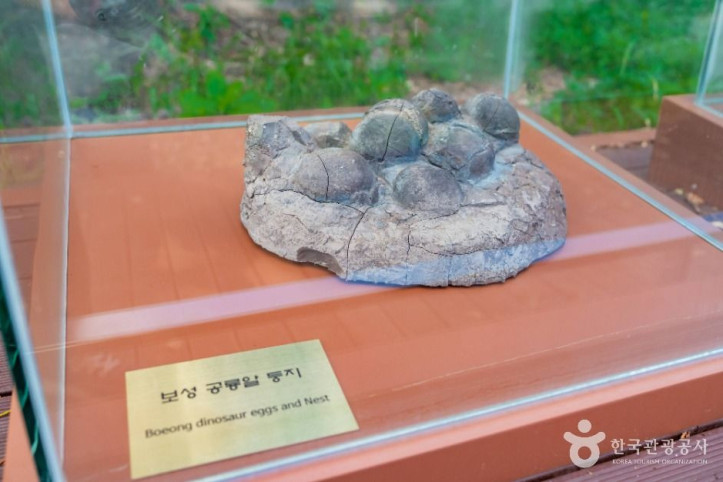 보성 비봉리 공룡알 화석산지 여행 추천 - 메고지고