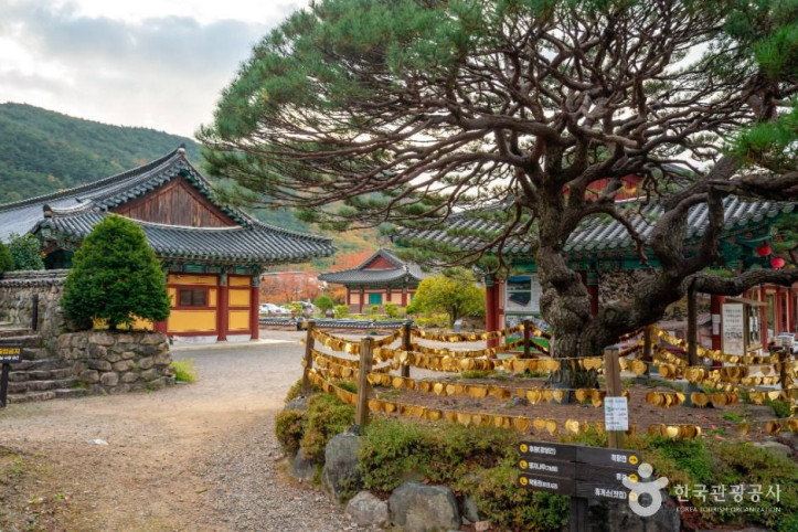 보경사 여행 추천 - 메고지고