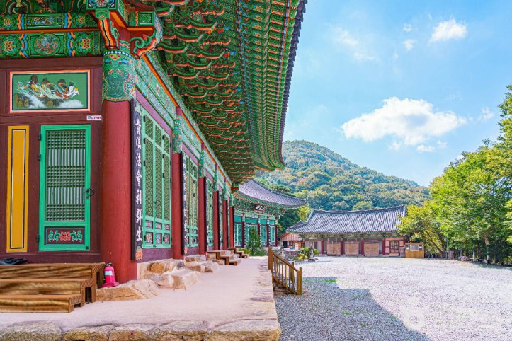 안심사(완주) 여행 추천 - 메고지고