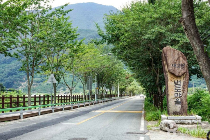 단장 이팝꽃 터널길 여행 추천 - 메고지고