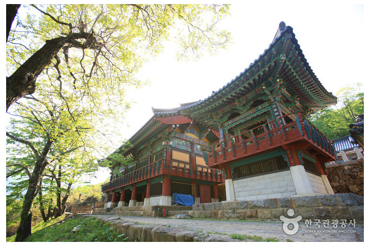 칠불사(하동) 여행 추천 - 메고지고