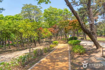 효원공원 월화원 여행 추천 - 메고지고