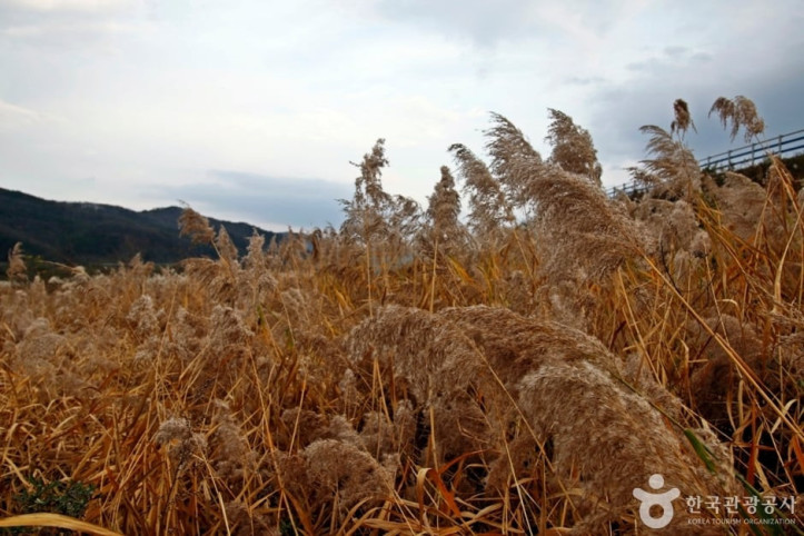 봉황경(능암리섬) 여행 추천 - 메고지고