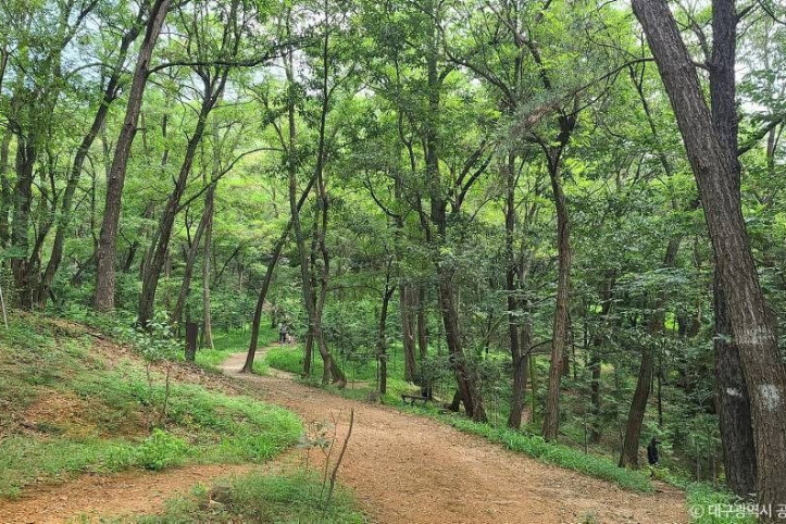 와룡산(대구) 여행 추천 - 메고지고