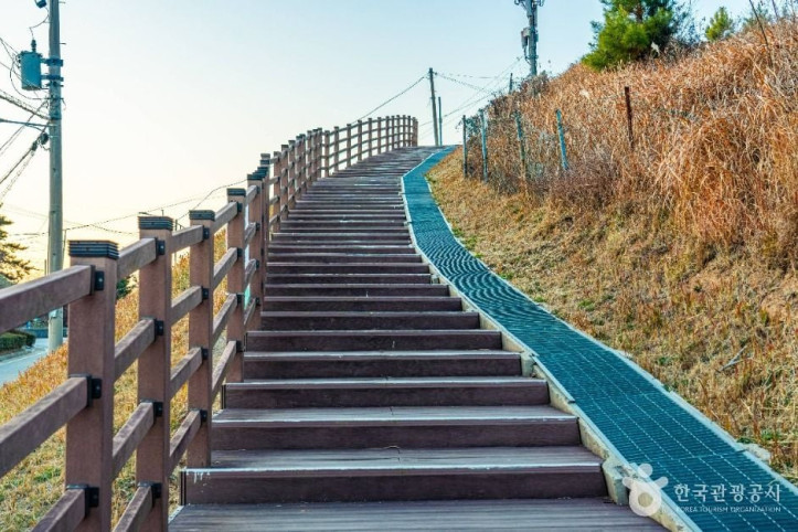[부산 갈맷길] 5코스 여행 추천 - 메고지고
