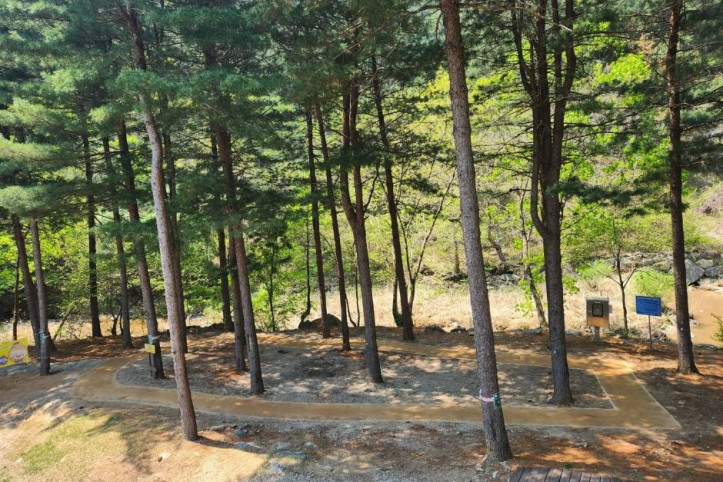칼봉산자연휴양림 여행 추천 - 메고지고
