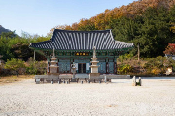 강성서원 여행 추천 - 메고지고