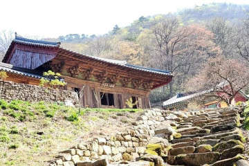 신흥계곡 여행 추천 - 메고지고