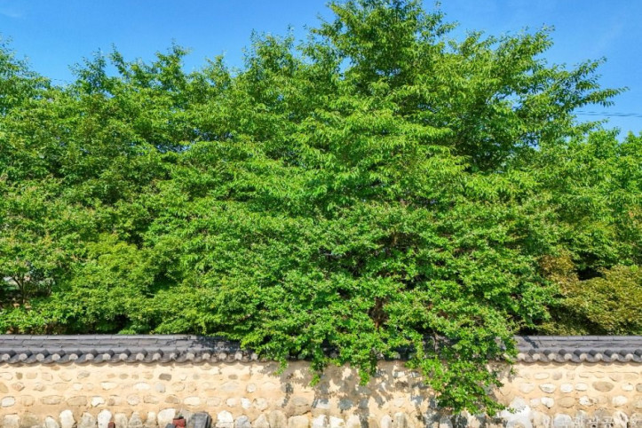 한천서원 여행 추천 - 메고지고