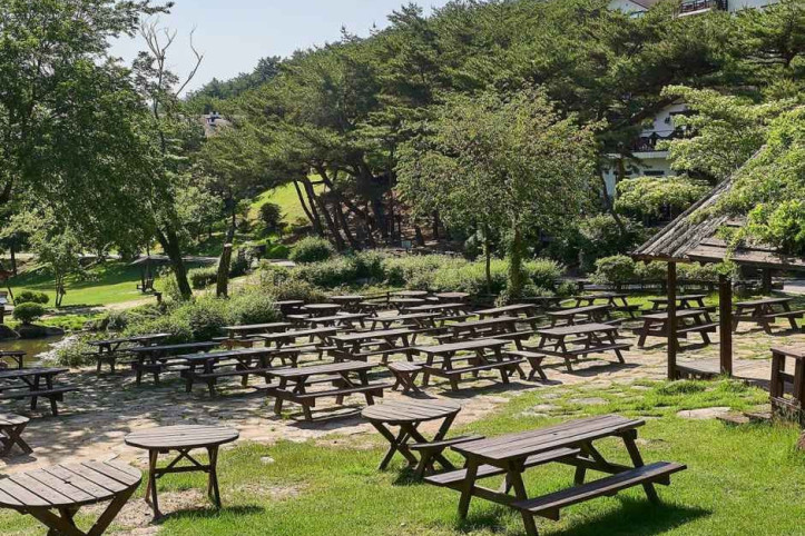 클럽이에스제천리조트 여행 추천 - 메고지고