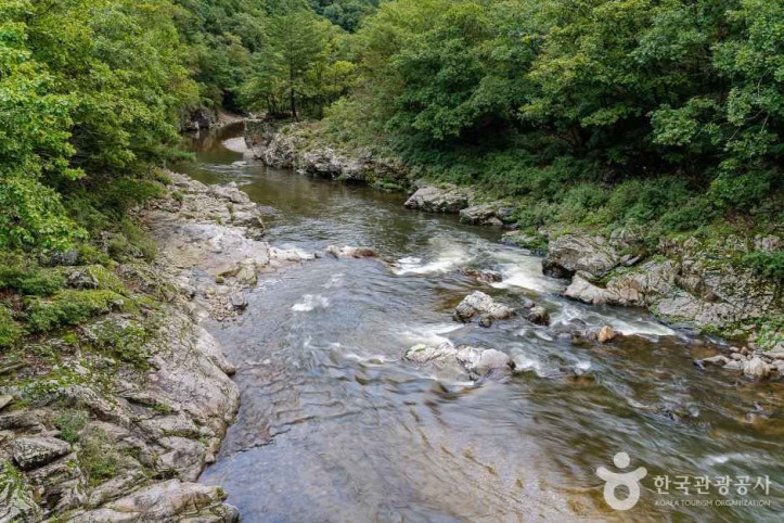 두타연 (강원평화지역 국가지질공원) 여행 추천 - 메고지고