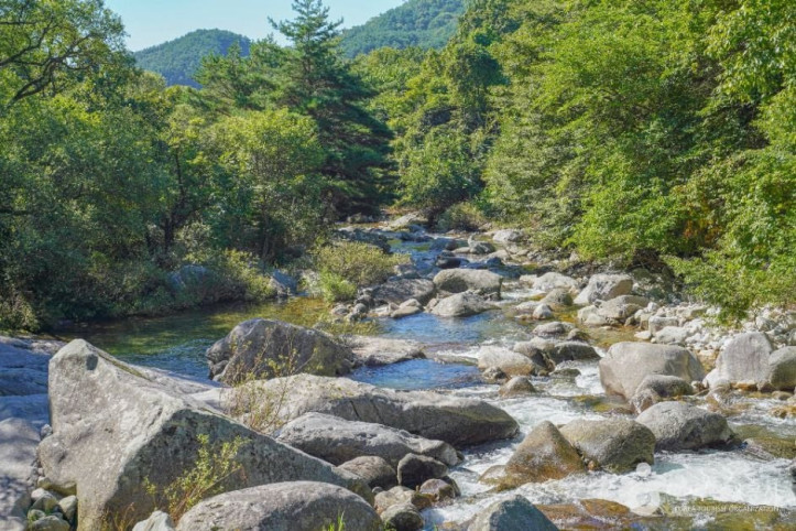 기백산 용추계곡과 용추폭포 여행 추천 - 메고지고