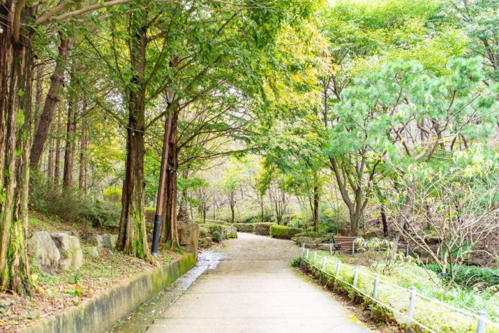 아산 영인산자연휴양림 여행 추천 - 메고지고